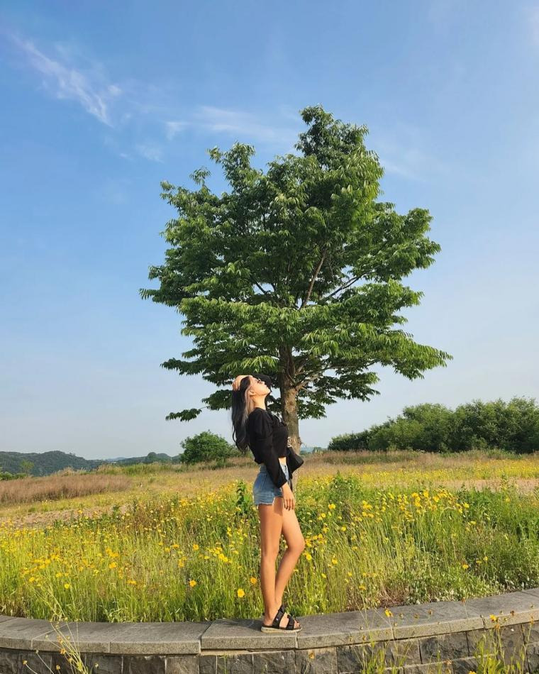 본문 이미지