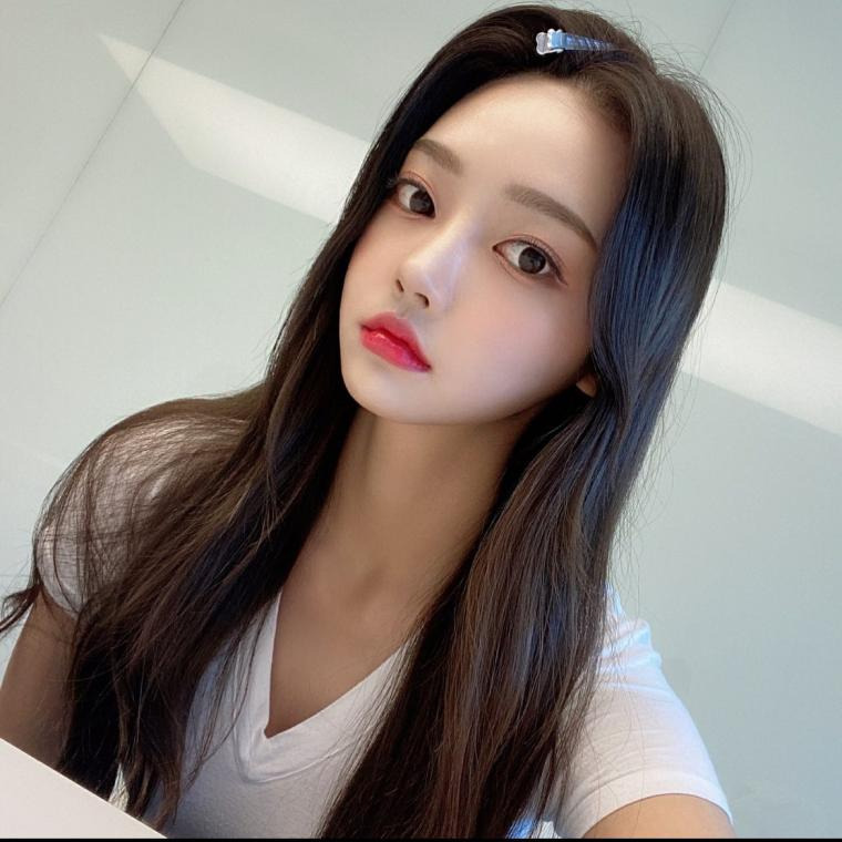 짤티비 - https://jjtv.kr