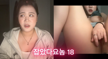 잡았다 요놈 과거 자위하는 영상이 박제된 여캠