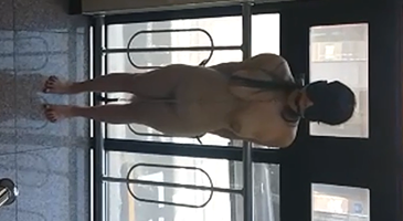 변태들의 아지트 텀블러 시절 야외플 모음 1