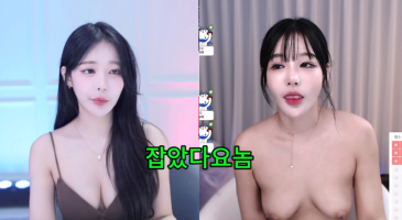 잡았다 요놈 결혼하는 비제이 축전
