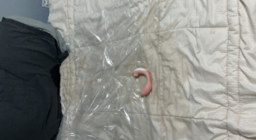 점점 과격하게 변질되는 자위 트위터 딸쟁이 4