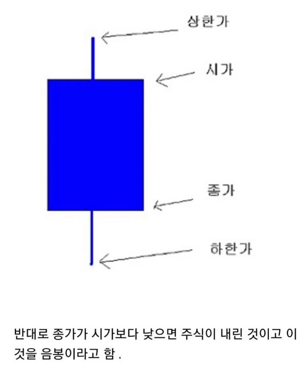 nokbeon.net-학교다닐땐 이런거 왜안알려주지?-25번 이미지