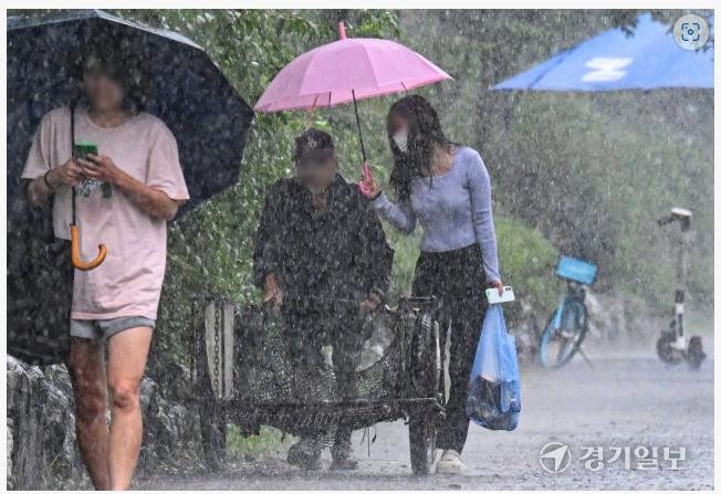 썸네일-현재 온라인에서 극찬받고 있는 우산녀.jpg-이미지