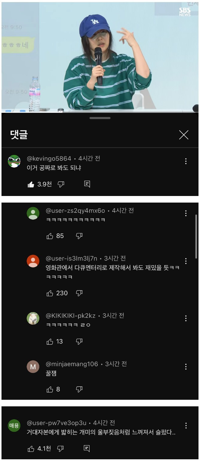 민희진 기자회견 영상에 달린 베댓