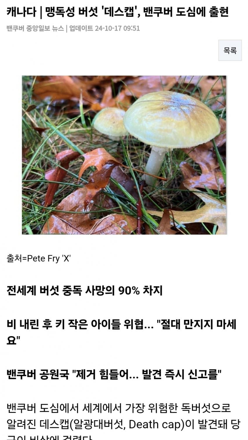 d80cd4cb8bfe1aadd100f67b57778a0b.jpg