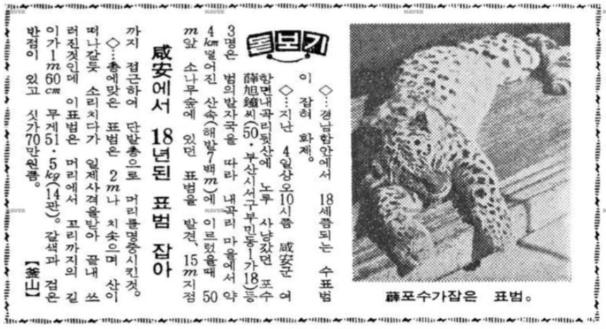 004.jpg