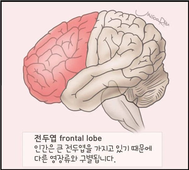 전두엽 손상 입었을 때 나타나는 증상