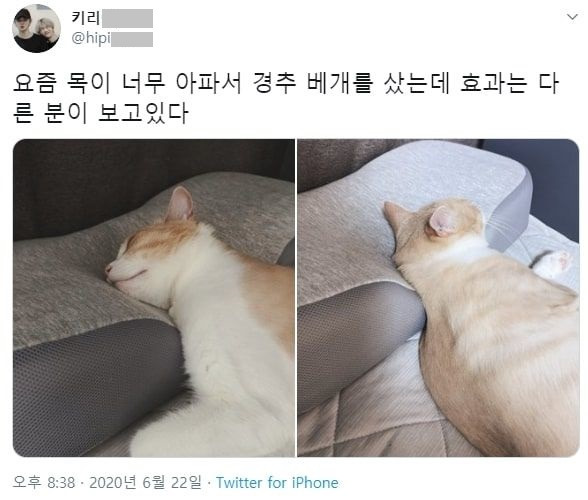 경추베개 후기