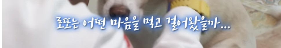 96.JPG