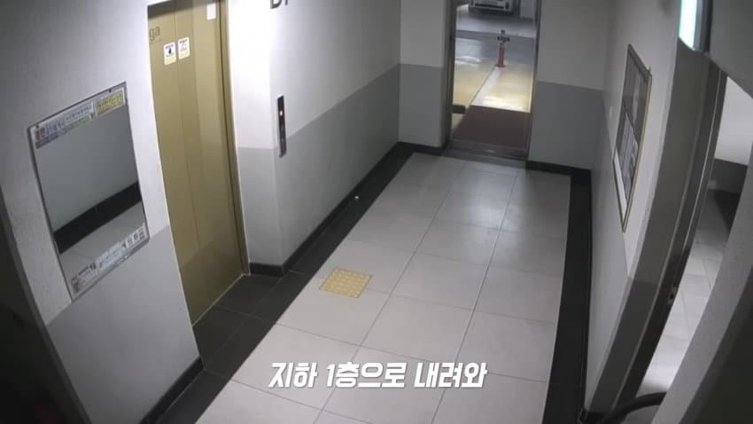 006.jpg