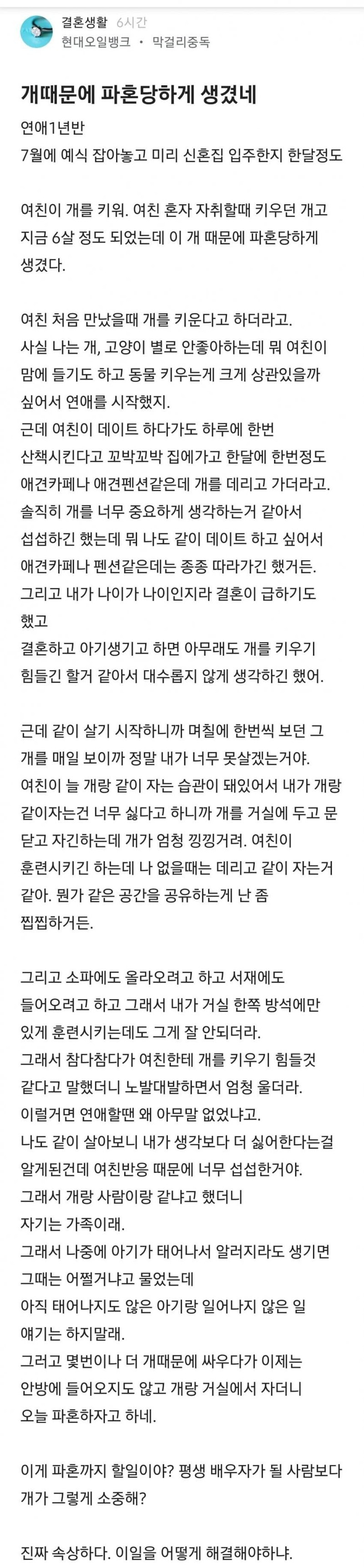 개 때문에 파혼당하게 생겼네