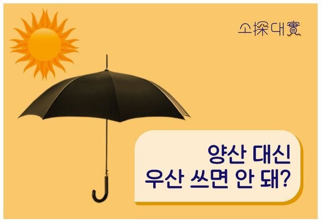 여름에 우산이라도 써야 하는 이유