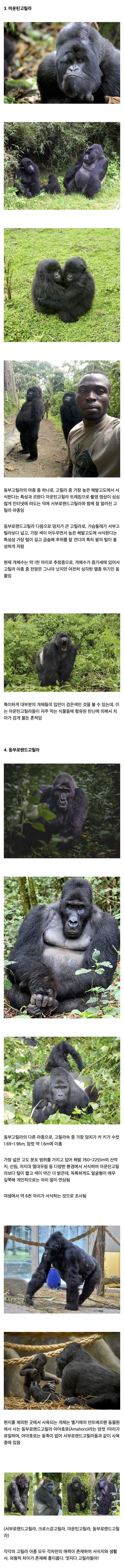 002.jpeg
