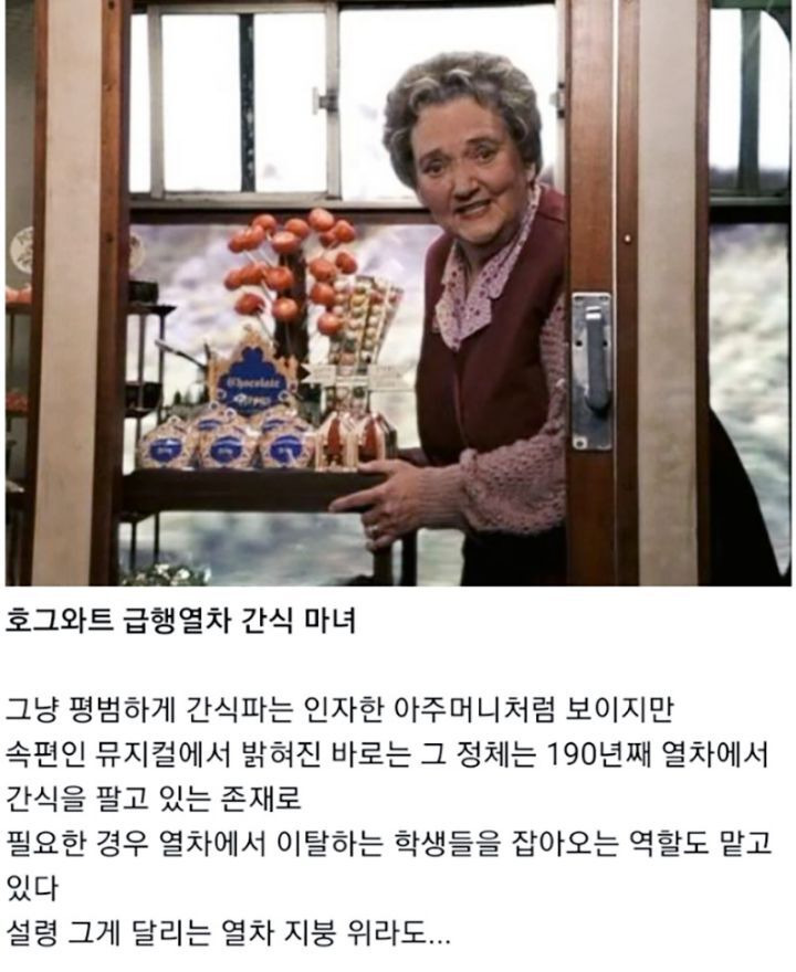 해리포터 세계관의 히든 보스 - 짤티비