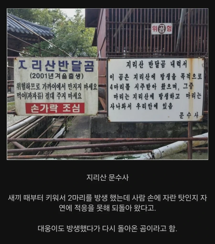 002.webp