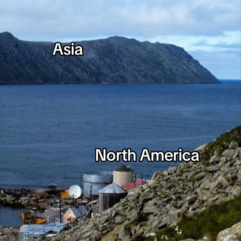 004.jpg