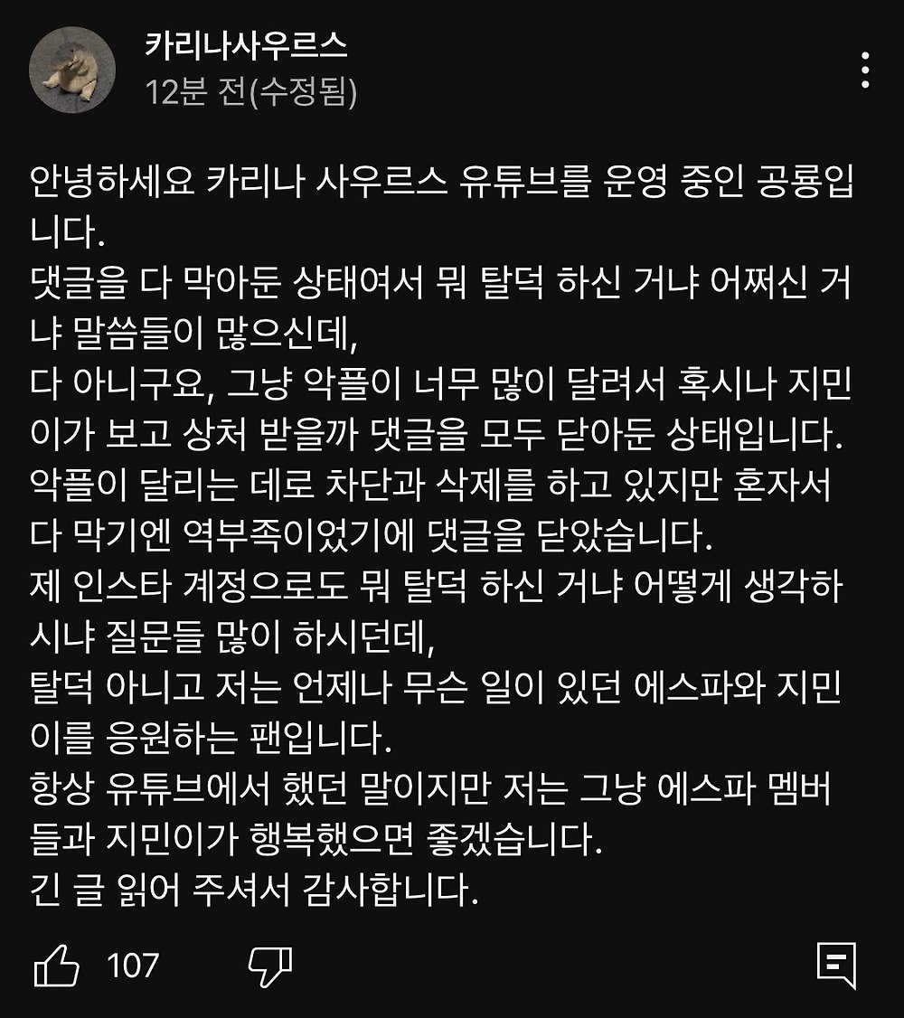 카리나 팬들이 발작하는 포인트와 테러당하는 카리나 팬튜브