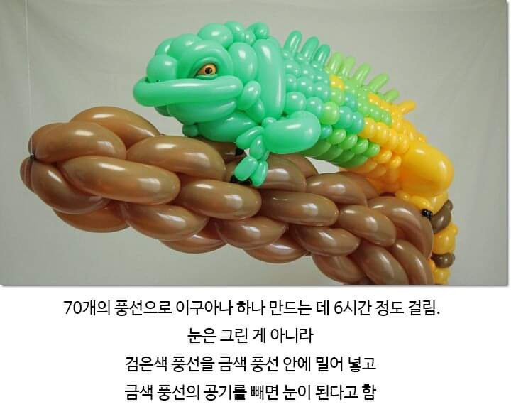 풍선공예 장인 - 짤티비