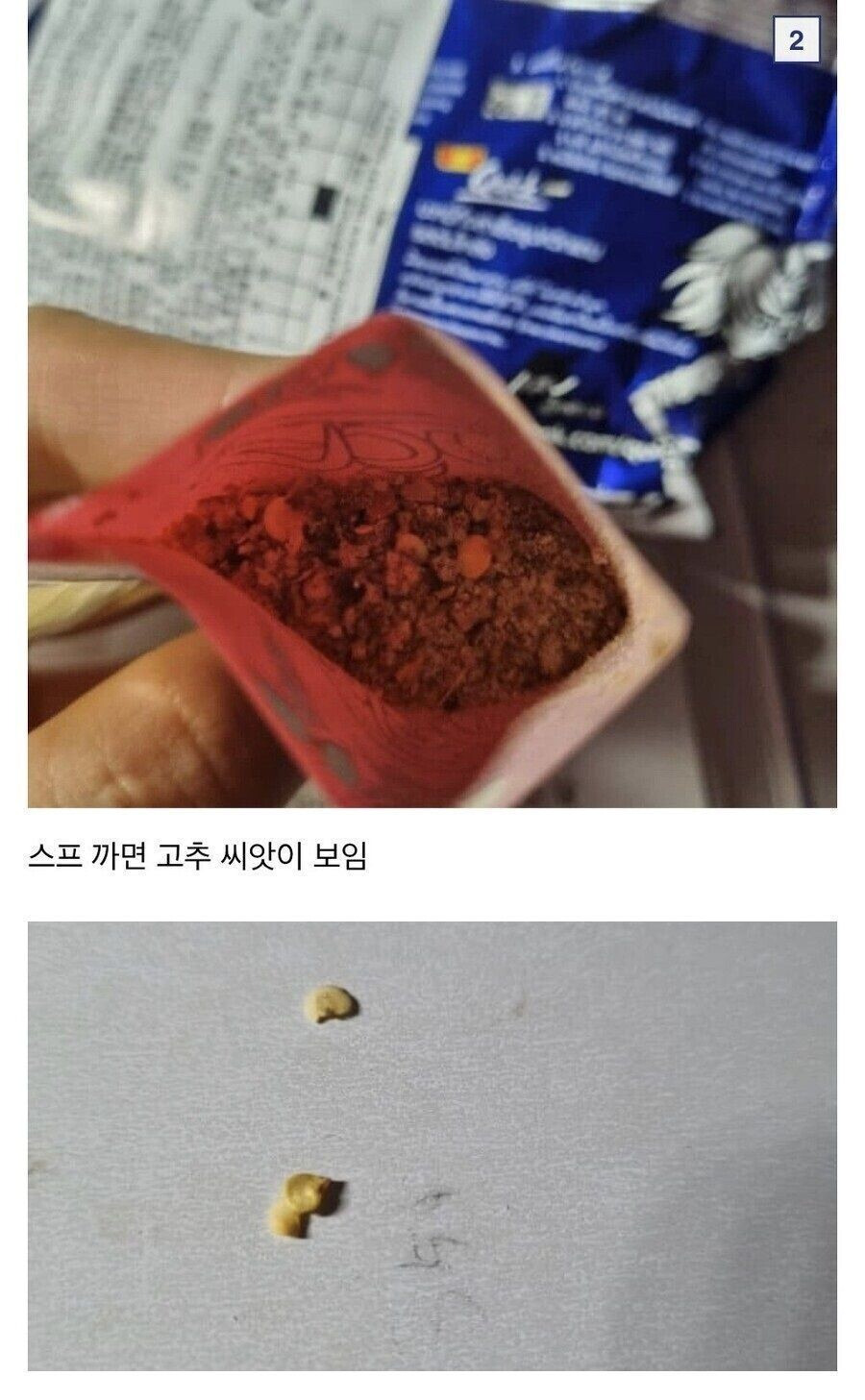 검역본부가 깜놀할 라면 드루이드