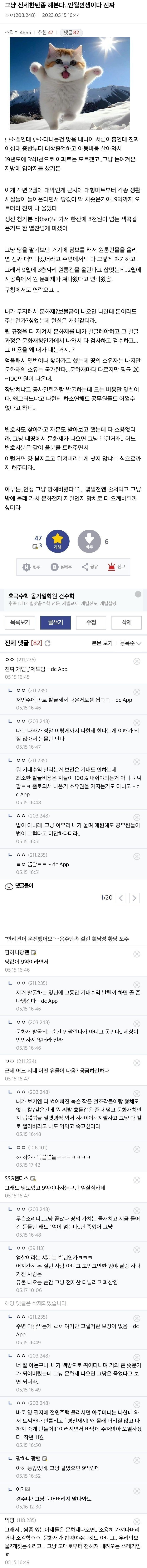 열심히 일해서 3억짜리 땅 산 사람의 최후