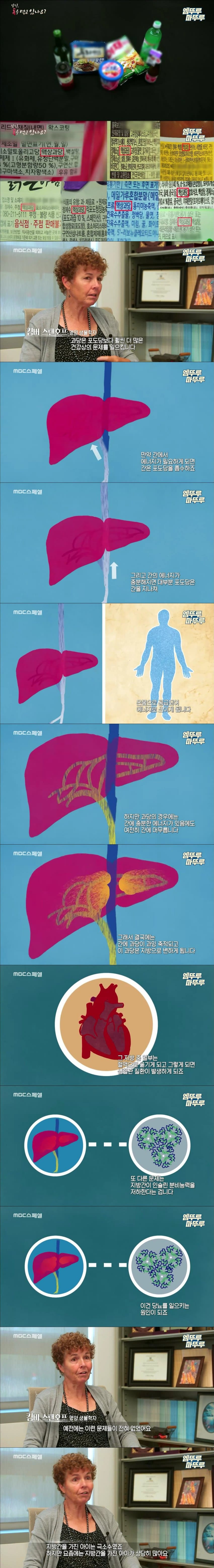 짤티비 - https://jjtv.kr