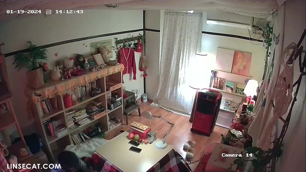 2024년 한국의 데일리 렌탈 IP 카메라가 해킹당했습니다. 남자아이의 성기가 조금 작고, 여자아이는 섹스 후 만족스럽지 못한 것 같습니다. 조용히 자위를 하던 중 갑자기 카메라를 발견한 그녀