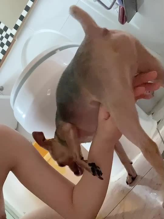 개고추빠는 노예녀 (21)