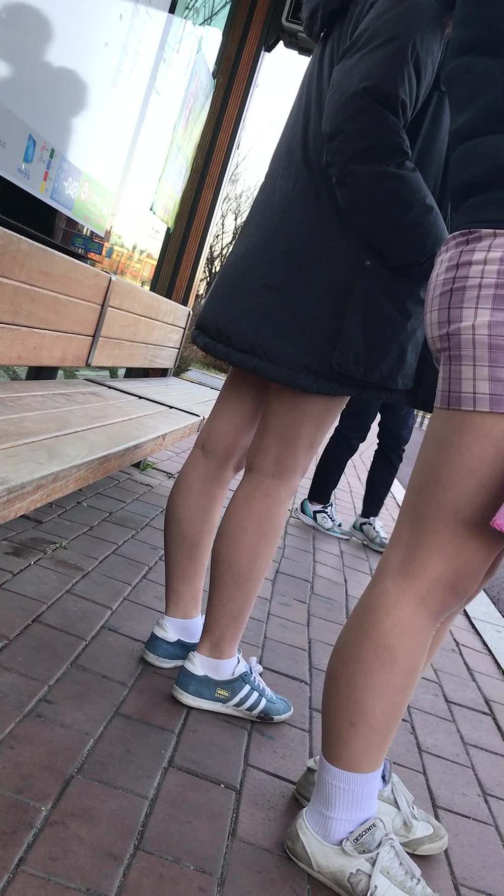 고등어 도촬 모음 (6)