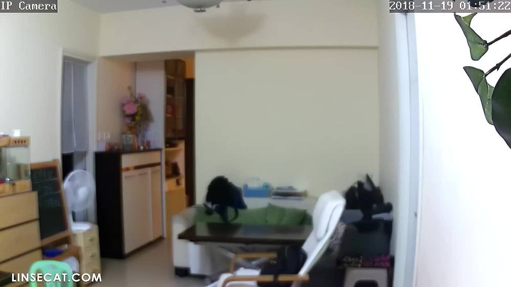 홈 감시 카메라 해킹_ 한국 여성 2명이 속옷에 손을 넣어 자위했다. 그녀는 남자친구와 통화 중이었고, 발정 중이어서 자위를 하지 않을 수 없었습니다