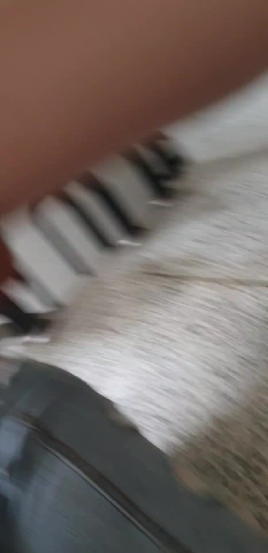 포터남 흰모자녀 6