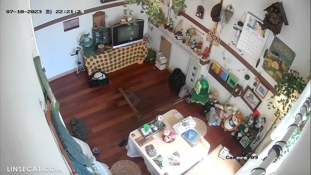 2024년 한국 IP 카메라가 해킹당했습니다. 향수를 불러일으키는 디저트 가게에는 사진 찍기를 좋아하는 아름다운 소녀들이 많이 모여들었습니다. 그녀는 바지를 벗고 남자친구가 그녀의 보지를 확인하게 합니다