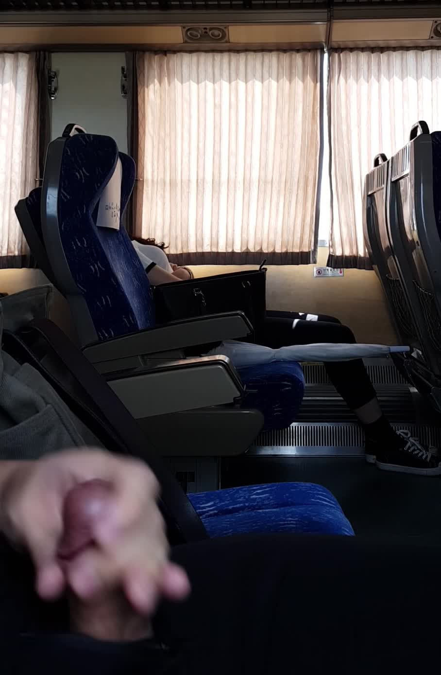 기차 안 딸딸이남 (5)