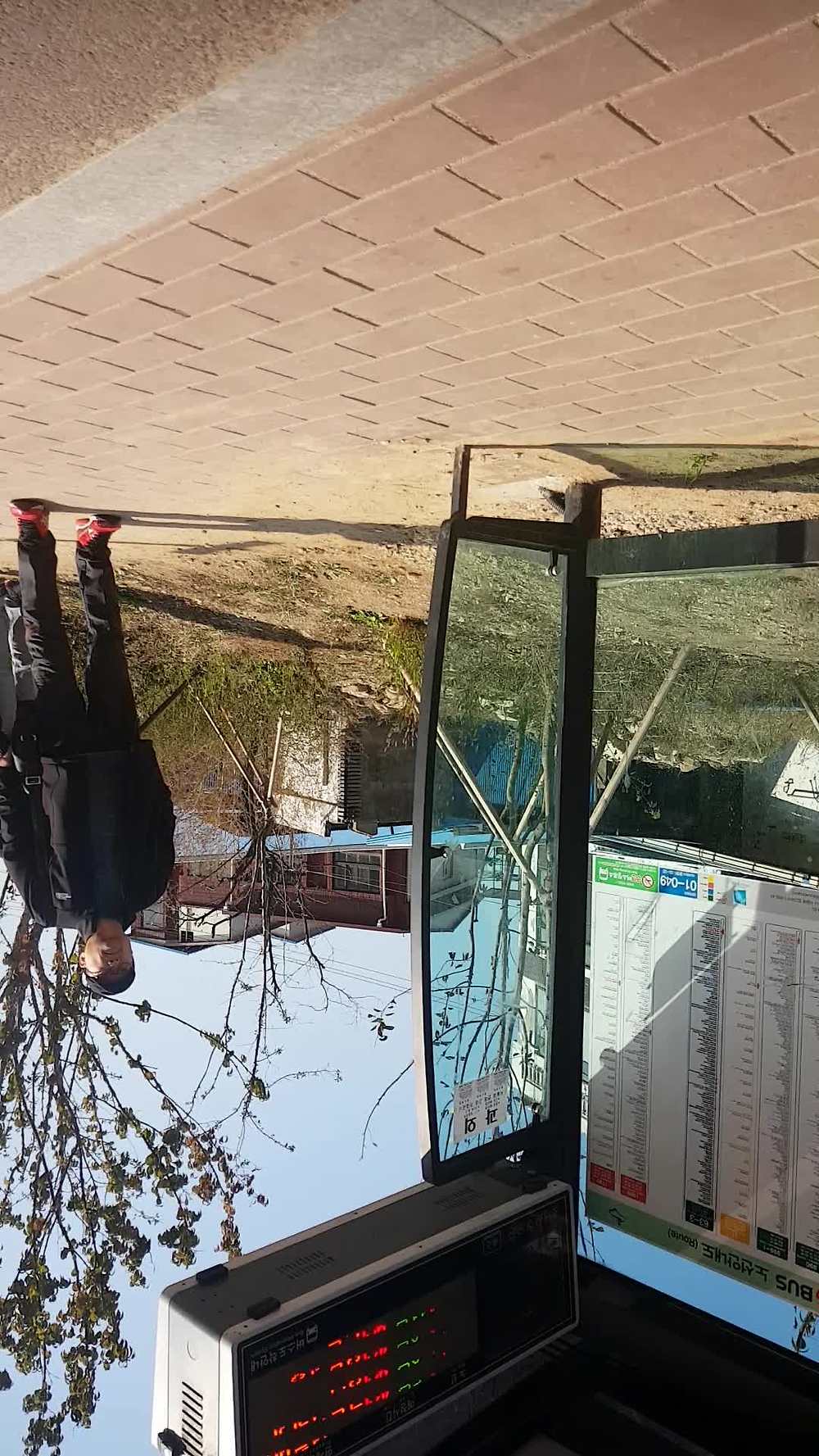 고등어 도촬 모음 (7)