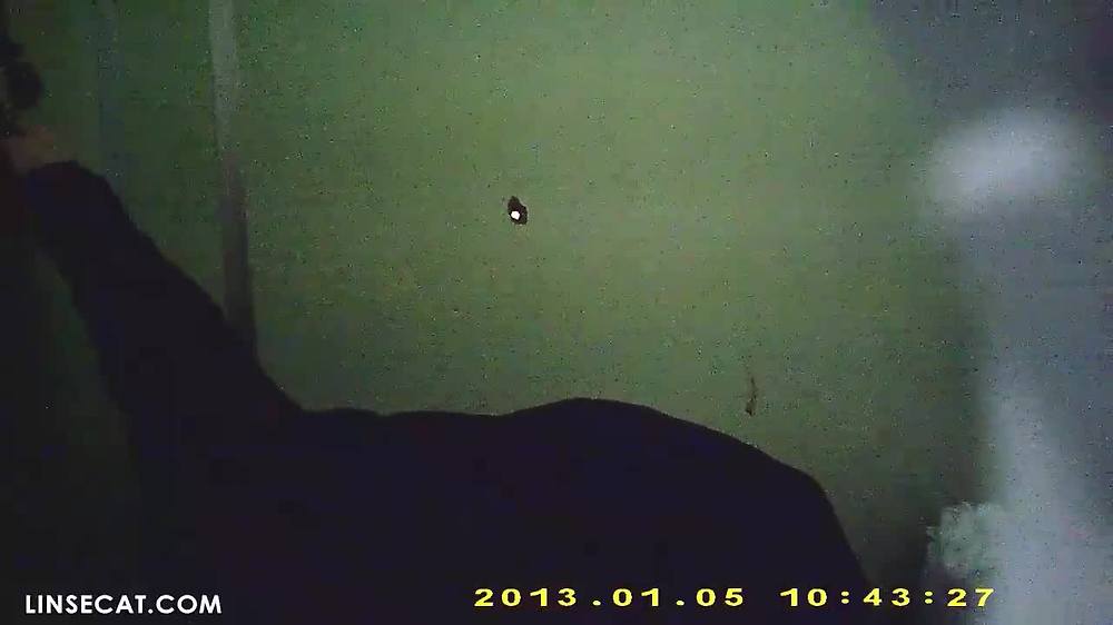 한국 화장실의 몰래카메라_ 화장실 2개. 여대생의 보지와 직업여성의 보지의 차이 여대생의 보지는 더 타이트한 반면, 일하는 여성의 보지는 더 젖어 있습니다.