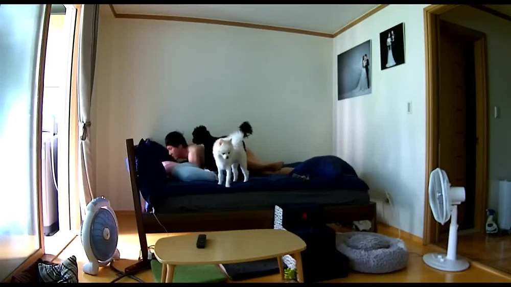 개판 오분전 신혼부부 섹스라이프