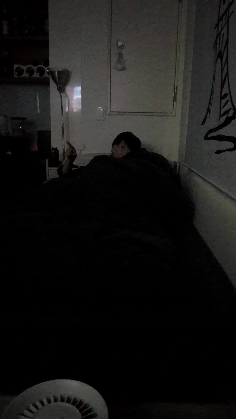 박솔이 93 [TV출연] (1)