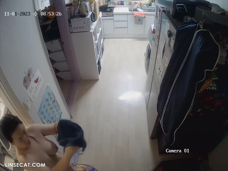 2024년 한국 가정용 IP 카메라 해킹 _ 여성 알몸 3구. 그녀가 똥을 싸면 남편이 화장실에 들어가는데 냄새가 나지 않나요