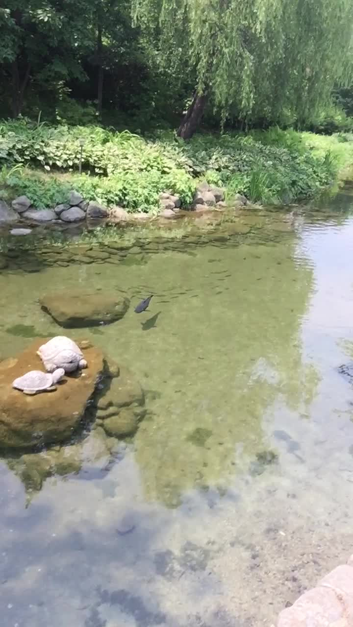 고래등오거리 김현정 (3)