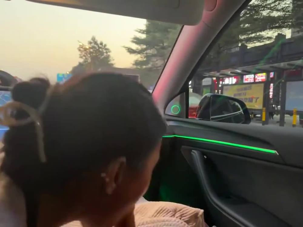 운전하다 말고 자지빠는 또라이 테슬라년