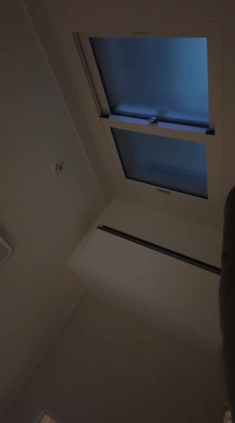 강아지 보빨녀 (1)