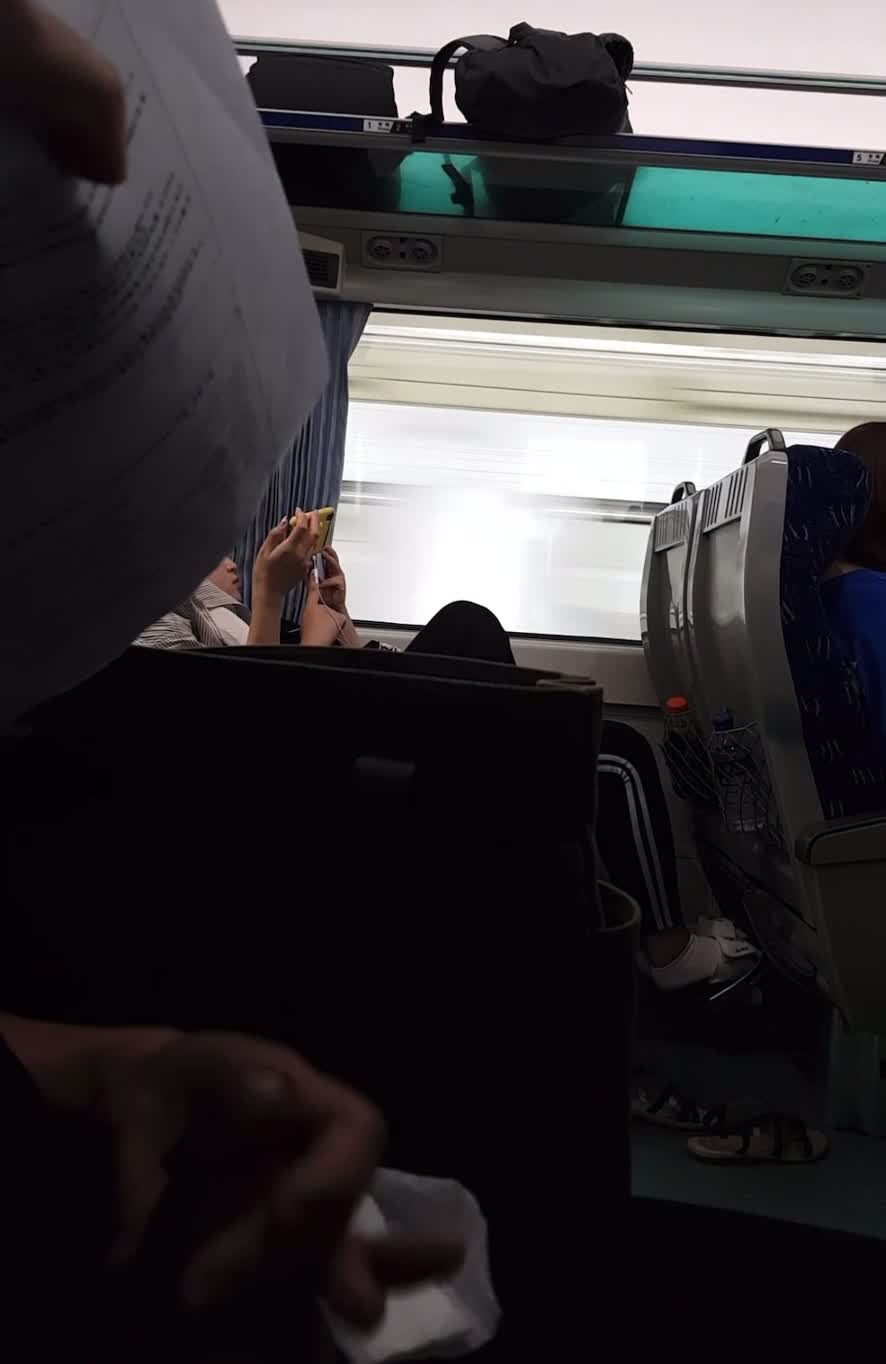 기차 안 딸딸이남 (2)