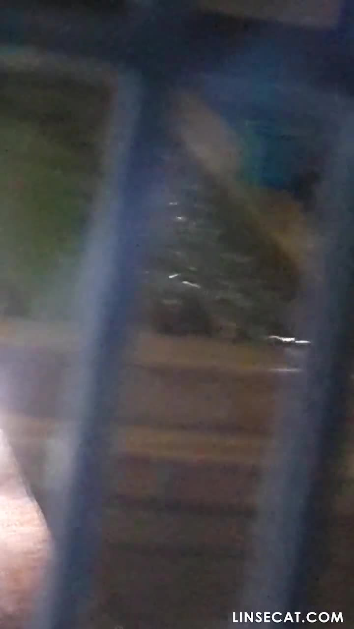 한국 공중화장실에서 벌거벗은 여성들을 환풍구를 통해 엿보는 그녀는 이를 닦고 샤워 헤드로 질을 씻는다