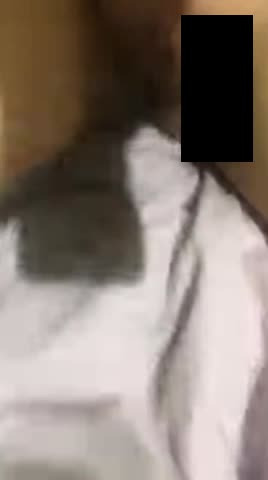 조씨 라이브 유출 (2)