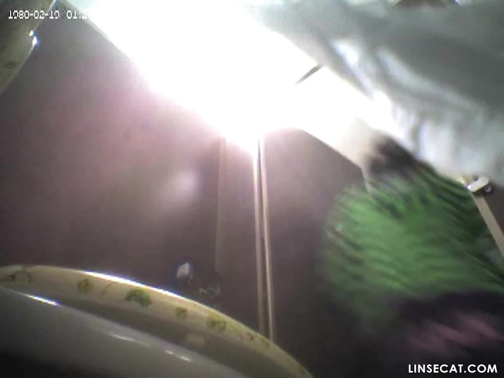 한국 화장실의 몰래카메라_ 다양한 연령대의 여성들이 오줌을 누고 있으며, 그들은 모두 큰 엉덩이를 가지고 있습니다.