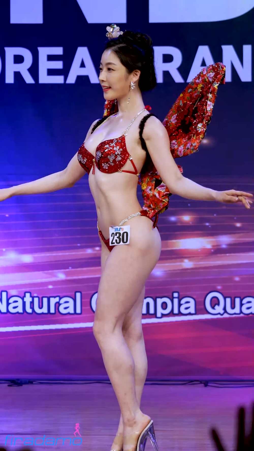 [4K 직캠] 2017 INBA 코리아 그랑프리 비키니 엔젤