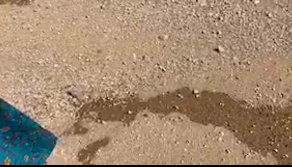 겨울이 직녹 honey_badger_7 (2)