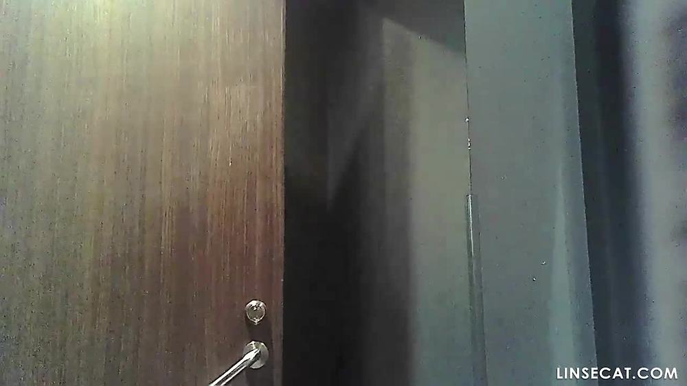 한국 화장실 몰카 20년도 추정