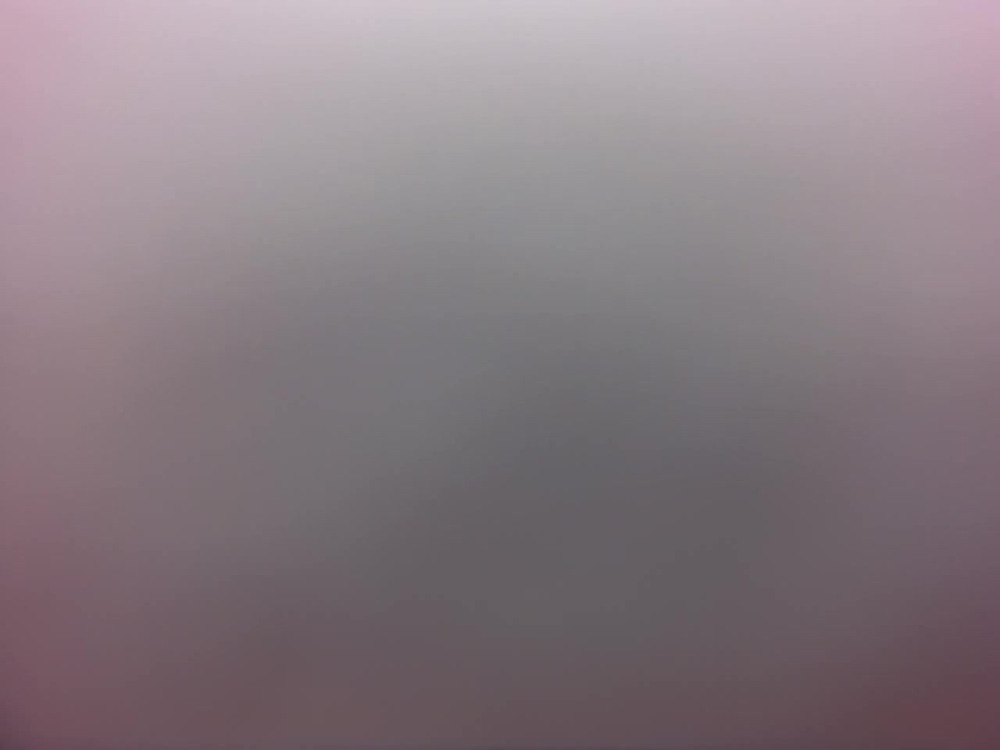 화질복원 잡음제거 강쥐녀 2탄