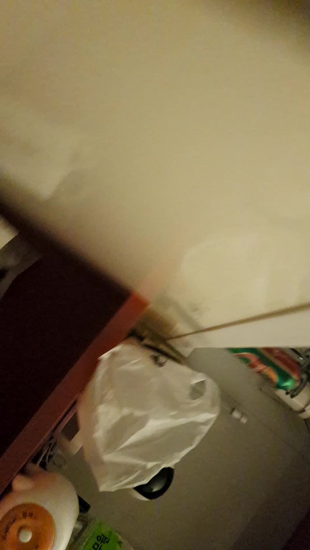 박솔이 93 [TV출연] (7)